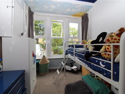 Picture 15